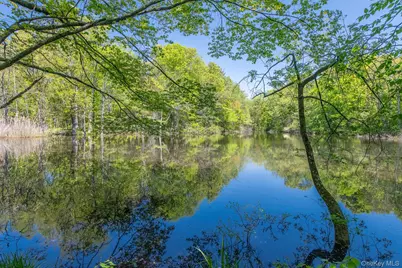 33 Pells Road, Rhinebeck, NY 12572 - Photo 45