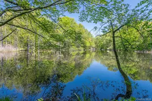 33 Pells Rd, Rhinebeck, NY 12572 - Photo 45