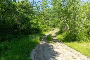 508 Woodstock Rd, Millbrook, NY 12545 - Photo 41