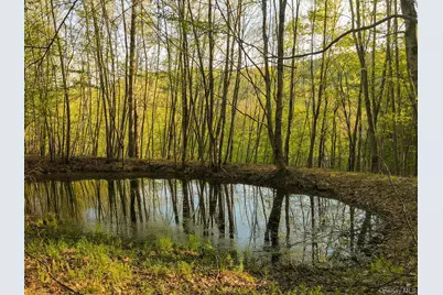 2182 Old Route 17, Roscoe, NY 12776 - Photo 17