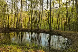 2182 Old Rte 17, Roscoe, NY 12776 - Photo 17