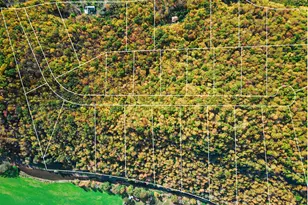 2182 Old Rte 17, Roscoe, NY 12776 - Photo 33