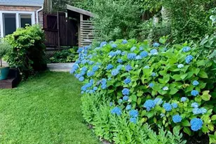 6 Lynn Ct, Hampton Bays, NY 11946 - Photo 15