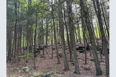 632 New Turnpike Road, Cochecton Center, NY 12726 - Photo 25