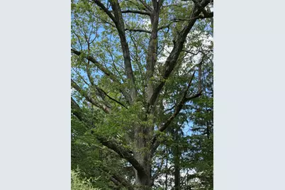 632 New Turnpike Road, Cochecton Center, NY 12726 - Photo 17