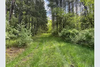 632 New Turnpike Road, Cochecton Center, NY 12726 - Photo 3