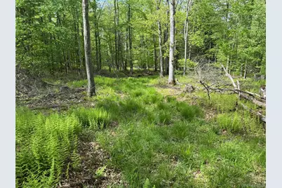 632 New Turnpike Road, Cochecton Center, NY 12726 - Photo 23