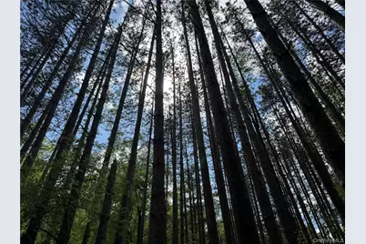 632 New Turnpike Road, Cochecton Center, NY 12726 - Photo 5