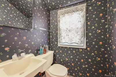 216 Birch Drive, New Hyde Park, NY 11040 - Photo 11