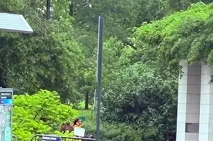 353 Ocean Ave, Brooklyn, NY 11226 - Photo 7