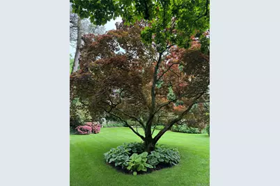 9 Oxford Road, White Plains, NY 10605 - Photo 17