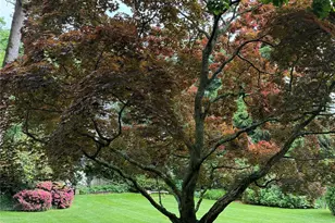 9 Oxford Rd, White Plains, NY 10605 - Photo 17