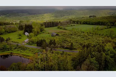 187 Hahn Road, Callicoon Center, NY 12758 - Photo 7