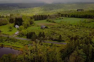 187 Hahn Rd, Callicoon Center, NY 12758 - Photo 7