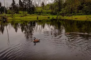 187 Hahn Rd, Callicoon Center, NY 12758 - Photo 5