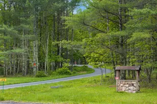 48 Deer Park Rd, Cairo, NY 12473 - Photo 3