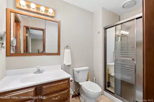 48 Deer Park Rd, Cairo, NY 12473 - Photo 17