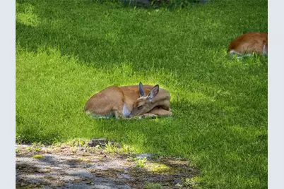 34 Woodland Avenue, Poughkeepsie, NY 12603 - Photo 31