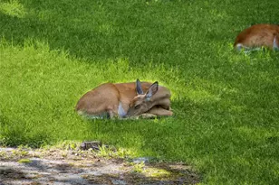 34 Woodland Ave, Poughkeepsie, NY 12603 - Photo 31