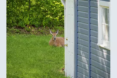 34 Woodland Avenue, Poughkeepsie, NY 12603 - Photo 33