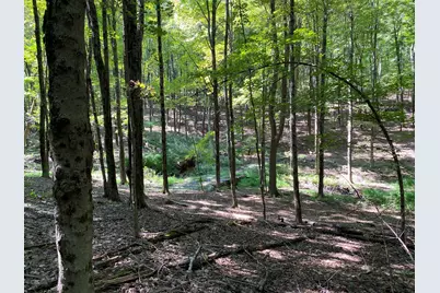 505-1 Pumpkin Lane, Clinton Corners, NY 12514 - Photo 11