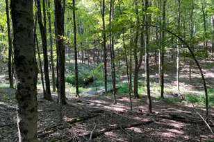 505-1 Pumpkin Ln, Clinton Corners, NY 12514 - Photo 11