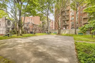 1430 Thieriot Ave, Bronx, NY 10460 - Photo 13