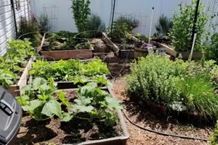 1346 Pine Dr, Bay Shore, NY 11706 - Photo 31