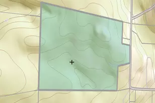 342 Bernas Rd, Cochecton Center, NY 12726 - Photo 15