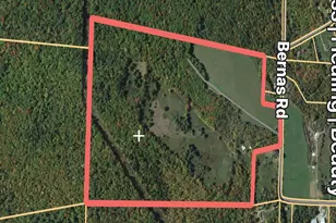 342 Bernas Rd, Cochecton Center, NY 12726 - Photo 43