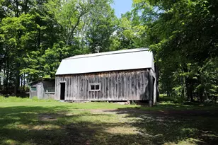 342 Bernas Rd, Cochecton Center, NY 12726 - Photo 11