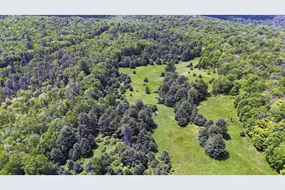 342 Bernas Road, Cochecton Center, NY 12726 - Photo 47