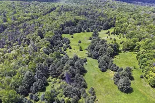 342 Bernas Rd, Cochecton Center, NY 12726 - Photo 47