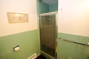 342 Bernas Rd, Cochecton Center, NY 12726 - Photo 41