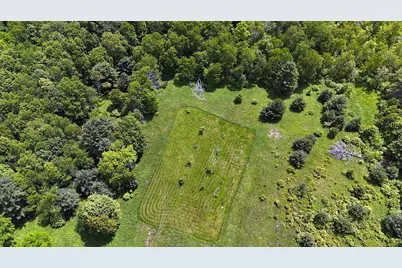 342 Bernas Road, Cochecton Center, NY 12726 - Photo 13