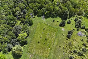 342 Bernas Rd, Cochecton Center, NY 12726 - Photo 13