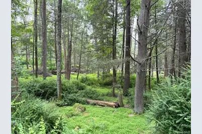 131 Old Plank Road, Sparrow Bush, NY 12780 - Photo 7