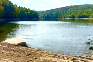 131 Old Plank Rd, Sparrow Bush, NY 12780 - Photo 3