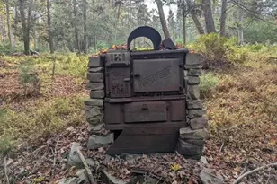 131 Old Plank Rd, Sparrow Bush, NY 12780 - Photo 17