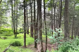 131 Old Plank Rd, Sparrow Bush, NY 12780 - Photo 9