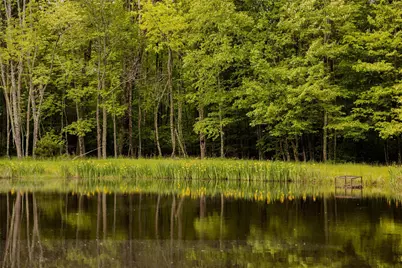 763 County Road 114, Cochecton Center, NY 12726 - Photo 11