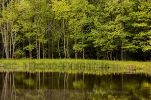 763 Co Rd 114, Cochecton Center, NY 12726 - Photo 11