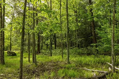 8 Forest Camp Road, Wawarsing, NY 12489 - Photo 11