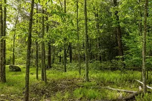 8 Forest Camp Rd, Wawarsing, NY 12489 - Photo 11