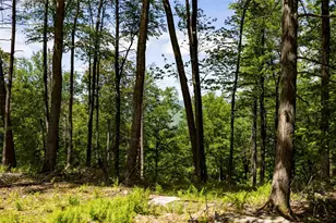 1 Red Rock Rd, Wawarsing, NY 12489 - Photo 15