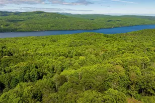 1 Red Rock Rd, Wawarsing, NY 12489 - Photo 9