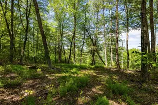 1 Red Rock Rd, Wawarsing, NY 12489 - Photo 11