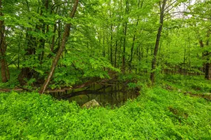 1250 County Rte 351, Preston Hollow, NY 12471 - Photo 25