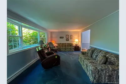 3 Johnston Road, Livingston Manor, NY 12758 - Photo 21