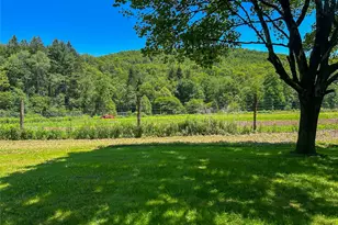 3 Johnston Rd, Livingston Manor, NY 12758 - Photo 39